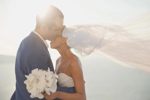 Young elegant wedding couple