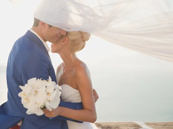 Young elegant wedding couple — Stock Photo, Image