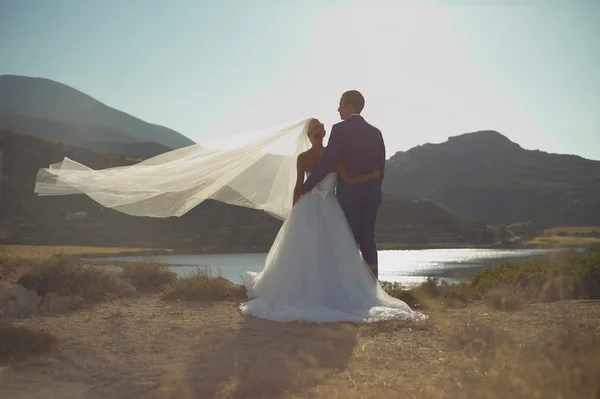 Jeune couple de mariage élégant — Photo