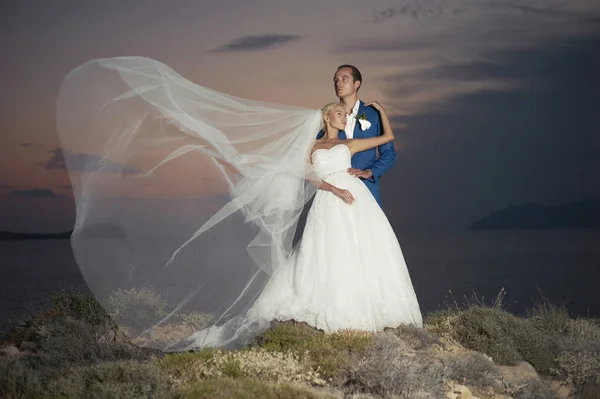 Young elegant wedding couple — Stock Photo, Image