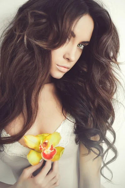 Krásná dáma s orchidejí — Stock fotografie