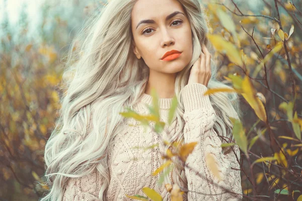 Hermosa dama rodeada hojas de otoño —  Fotos de Stock