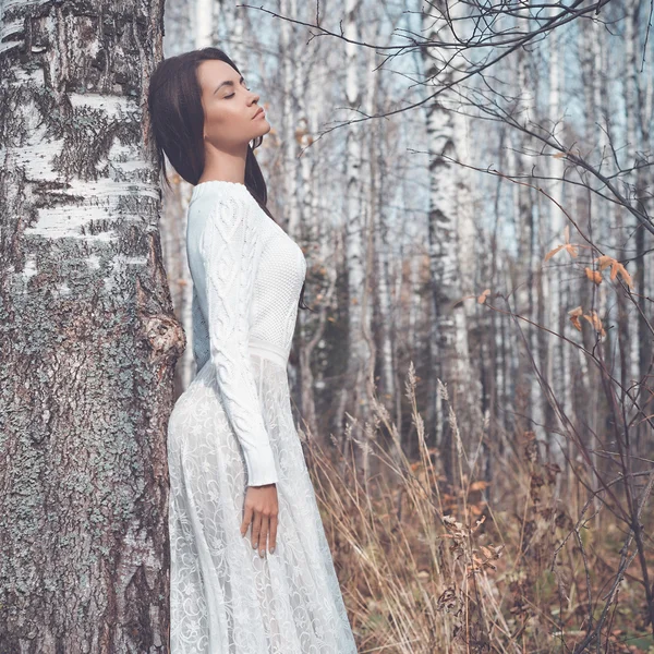Senhora bonita em uma floresta de vidoeiro — Fotografia de Stock
