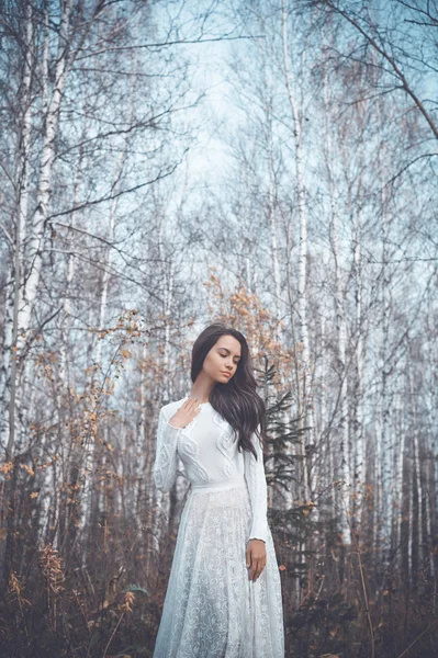 Schöne Dame in einem Birkenwald — Stockfoto