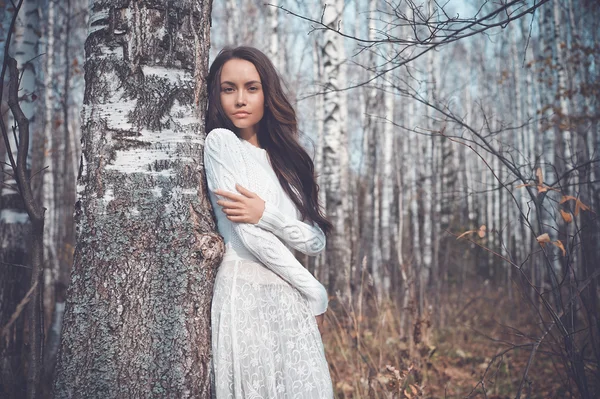 Senhora bonita em uma floresta de vidoeiro — Fotografia de Stock