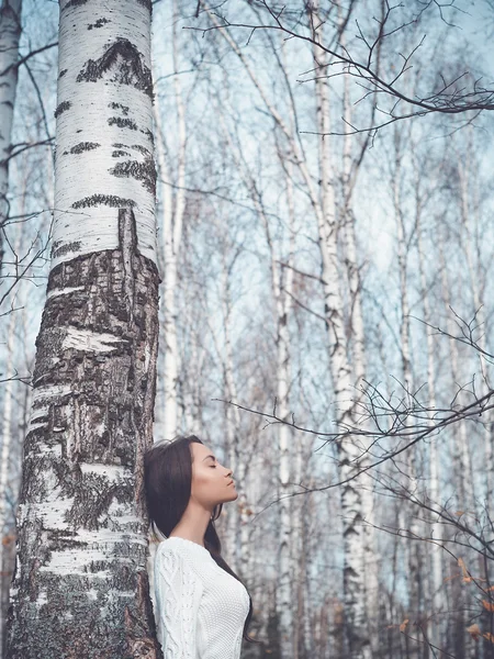 Beautiful lady in a birch forest — Stock Photo, Image