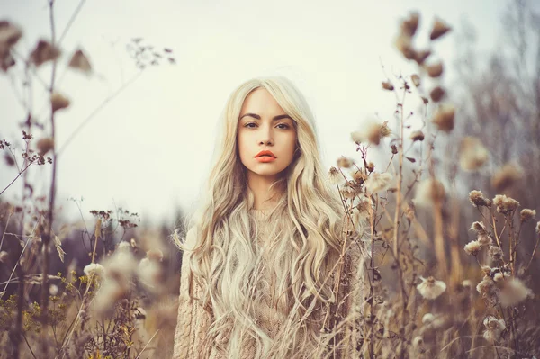 Schöne Dame in herbstlicher Landschaft — Stockfoto