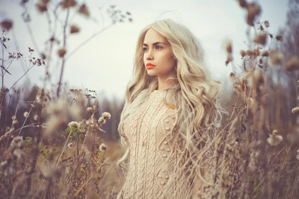 Schöne Dame in herbstlicher Landschaft — Stockfoto