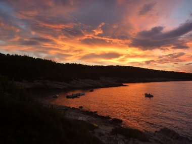 Hvar günbatımında defne