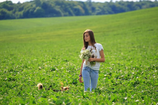 十几岁的女孩在农场里得到的乐趣 — 图库照片