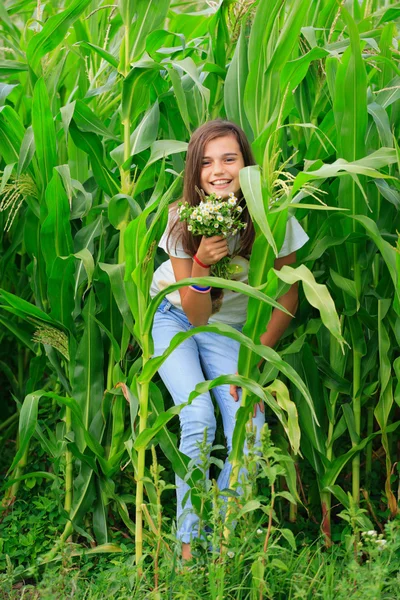 Adolescente ragazza ottenere divertimento presso la fattoria Immagine Stock