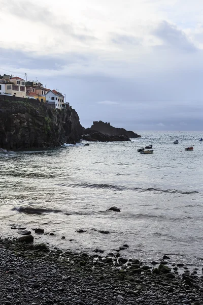 Cámara de lobos —  Fotos de Stock