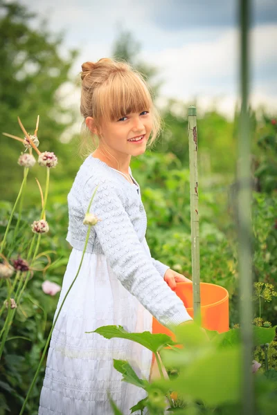 Arbeta i trädgården — Stockfoto