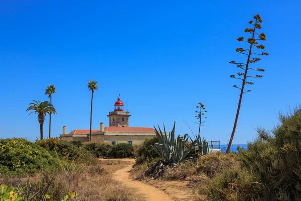 Algarve kıyısında