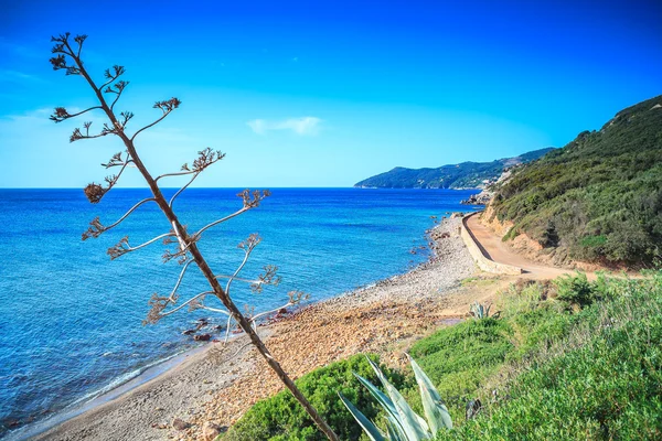 Pláž na ostrově Elba — Stock fotografie