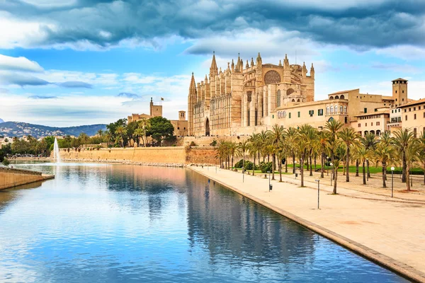 Bir Palma de mallorca — Stok fotoğraf