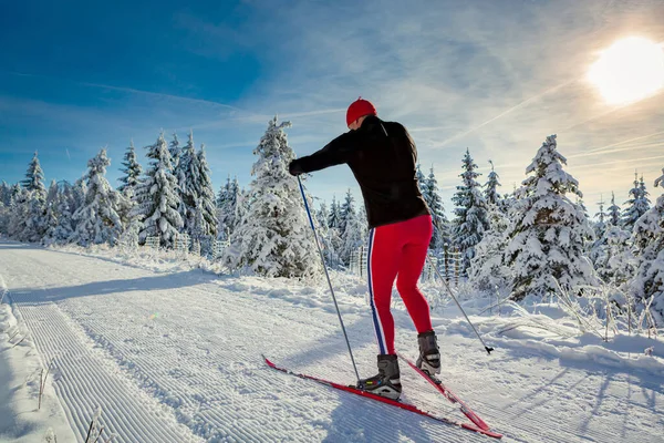 Ein Mann Beim Skilanglauf Auf Dem Waldweg — Stockfoto