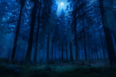 Gece vakti sisli yeşil orman