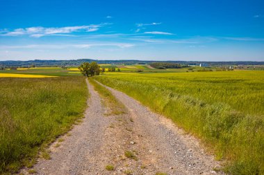Almanya 'da Coburg yakınlarında kırsal arazi manzarası