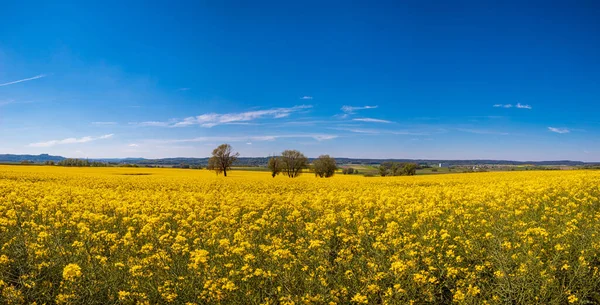 Landelijk Landerijen Landschap Bij Coburg Duitsland — Stockfoto