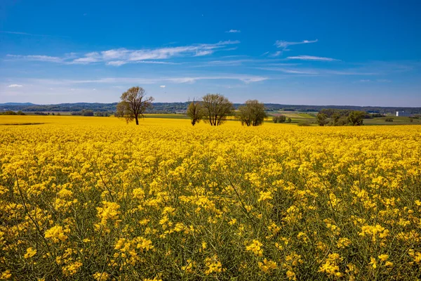 Landschaftspflege Bei Coburg — Stockfoto