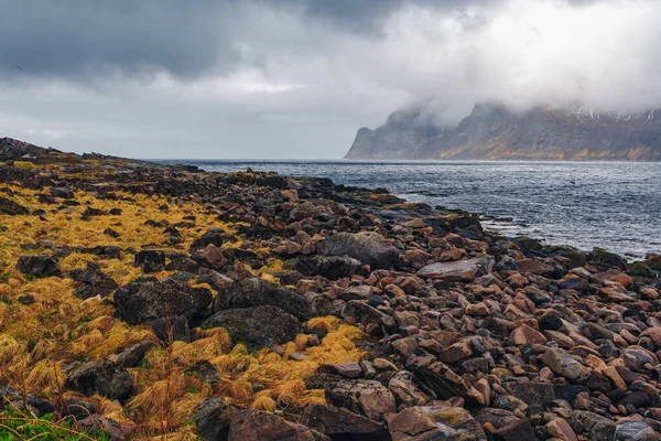 Widok Krajobrazu Wyspy Senja Poza Krąg Polarny Norwegii — Zdjęcie stockowe