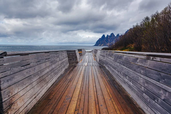 Der Blick Auf Die Insel Senja Vom Tungeneset Picknick Norwegen — Stockfoto