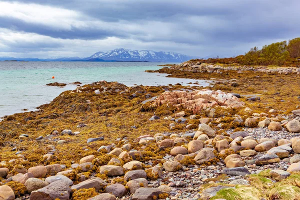 Vista Paisagem Ilha Senja Além Círculo Polar Noruega — Fotografia de Stock