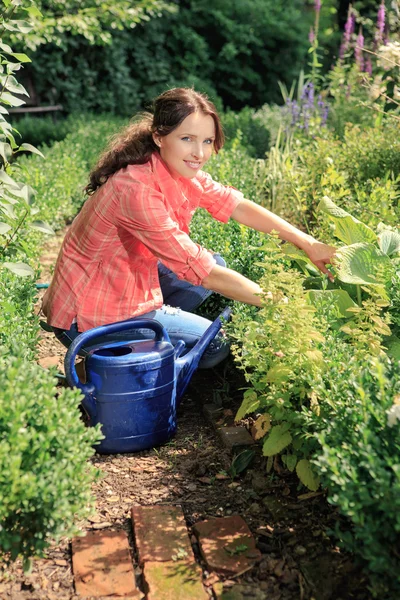 In the garden — Stock Photo, Image