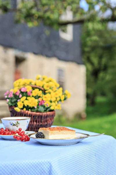 Gartenkuchen — Stockfoto