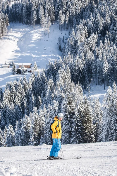 Ski alpine — Stockfoto