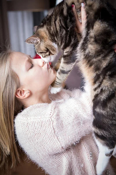 Menina e gato — Fotografia de Stock