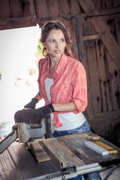 In the barn — Stock Photo, Image