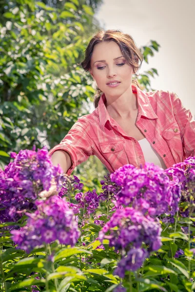 Im Garten — Stockfoto