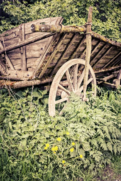 Oude achtertuin — Stockfoto