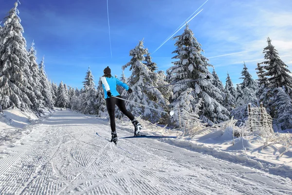 Esquí de fondo — Foto de Stock