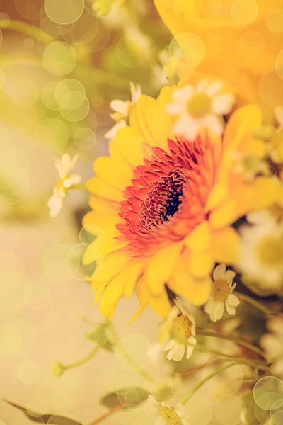 Bunch of spring flowers — Stock Photo, Image