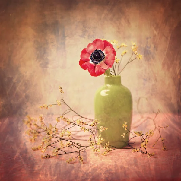 Anemone in the vase — Stock Photo, Image