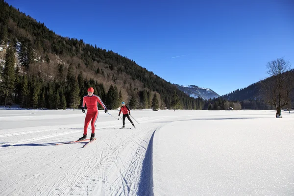 Biegacze narciarscy — Zdjęcie stockowe