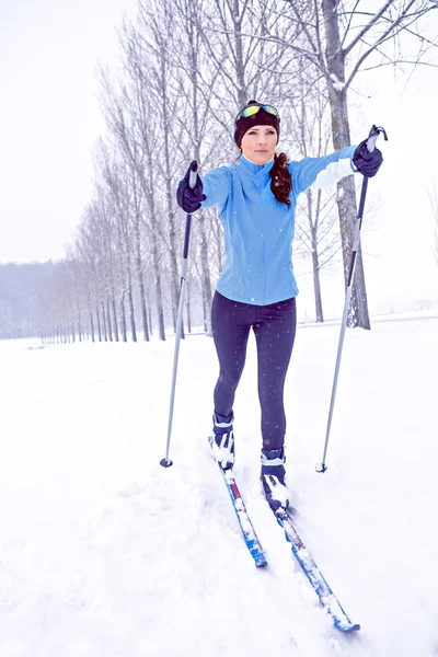 Cross-country skiing — Stock Photo, Image