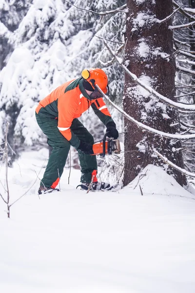 Lumberjack — Stock Photo, Image