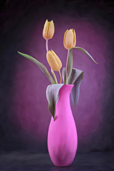 Bunch of tulips — Stock Photo, Image