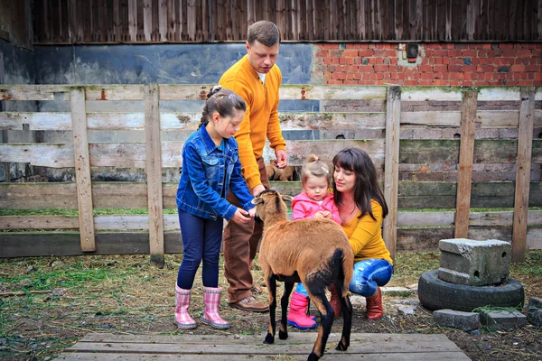 Gelukkige familie met een schaap — Stockfoto