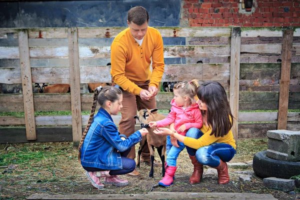 Happy family with a sheep — Stock Photo, Image