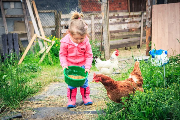 Agriculteurs Fille nourrir le poulet — Photo