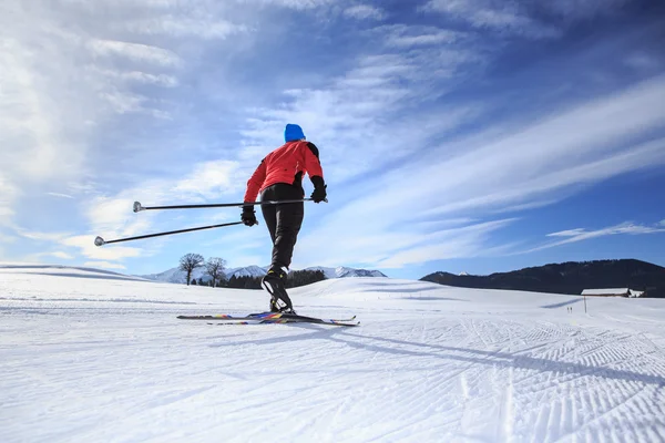 Ski de fond — Photo