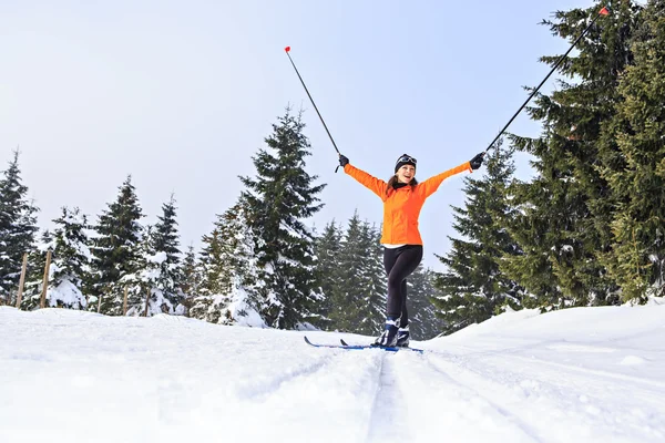 Ski de fond — Photo