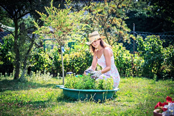 Working in the garden — Stock Photo, Image