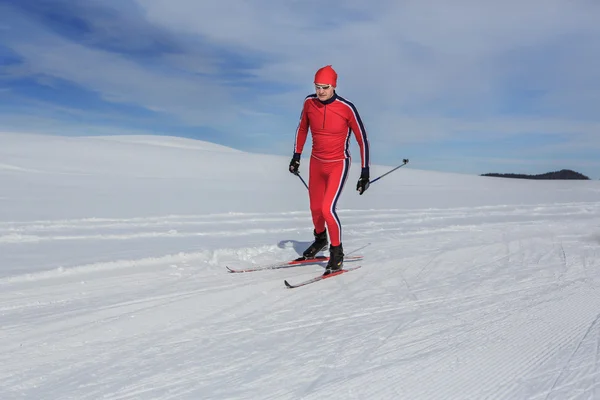 Skilanglauf — Stockfoto