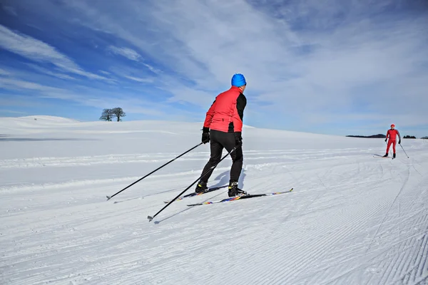 Biegi narciarskie — Zdjęcie stockowe